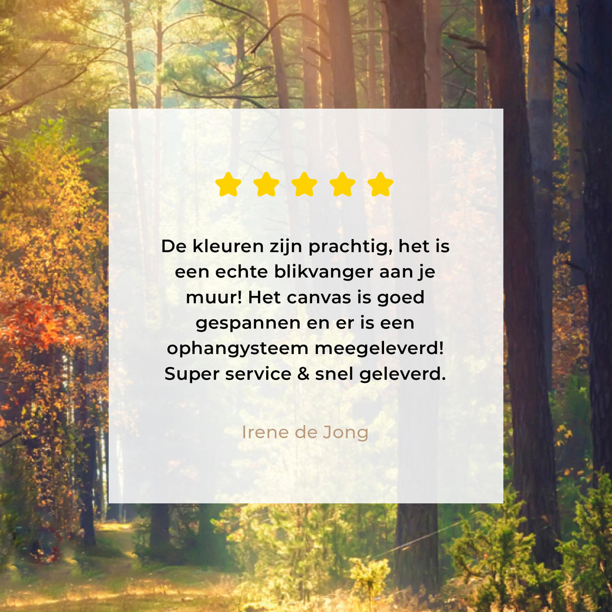 LEINWANDBILD Wald - Herbst - Bäume Wandbilder 80x60 cm - Dunkelgrün, Textil (80/60cm) - MuchoWow