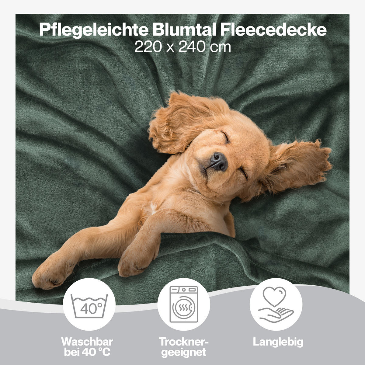 KUSCHELDECKE Anton 220/240 cm, Grün - Grün, Textil (220/240cm) - Blumtal