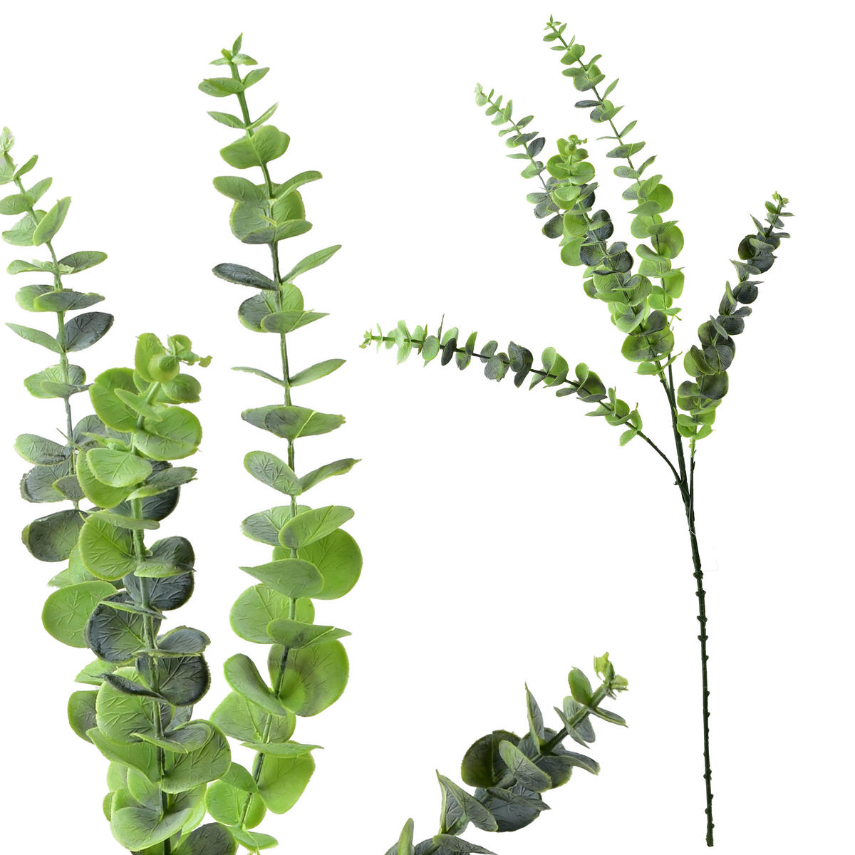 UMĚLÁ VĚTEV Eukalyptus 80 cm, zelená - barva eukalyptového dřeva, plast (80cm) - Mondex