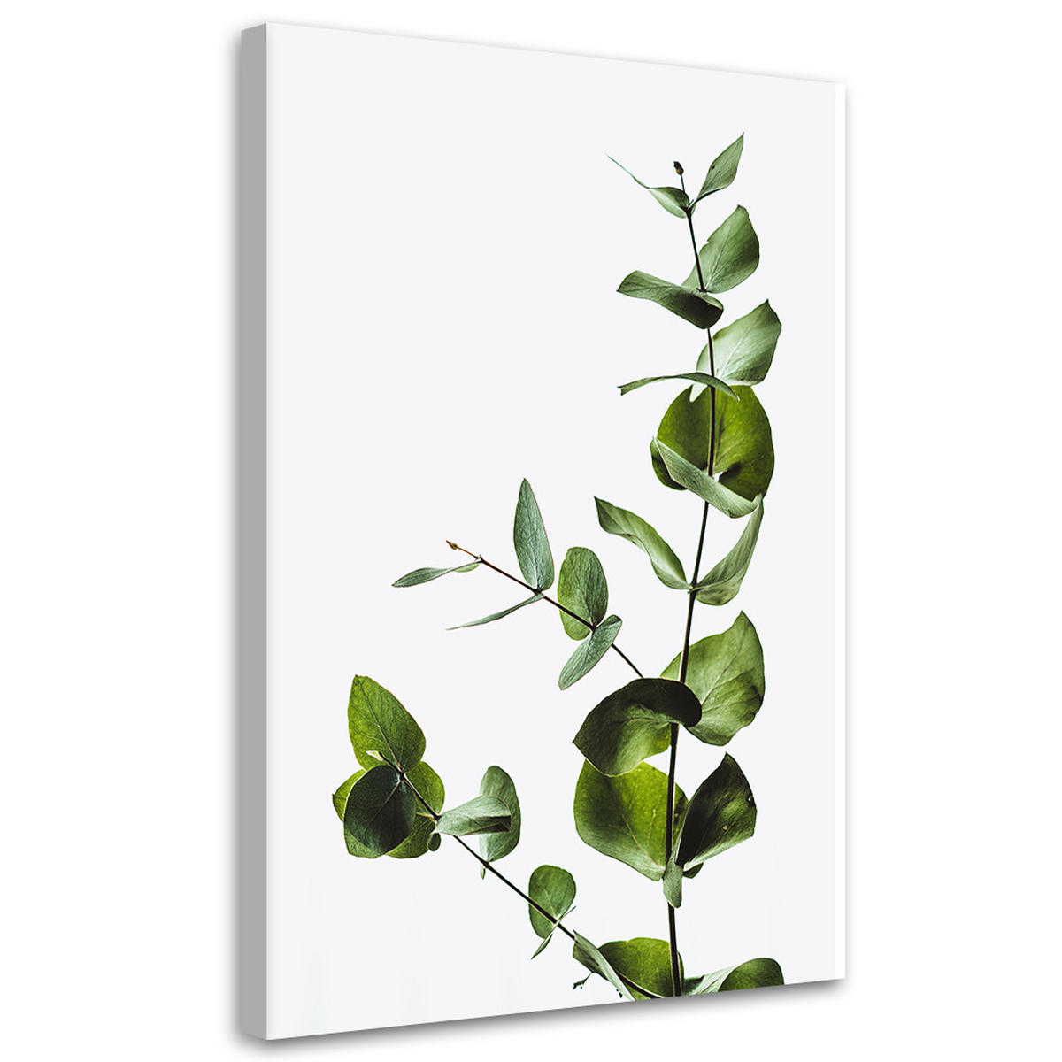 WANDBILD grüner zweig natur - Grün, Textil (40/60cm) - Feeby