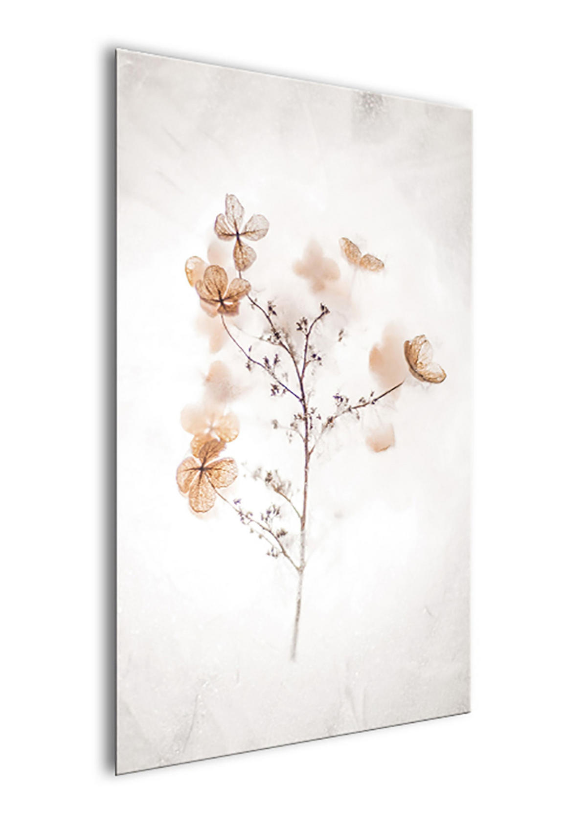 BILD 20x30 cm Blüten Beige Weiß - Beige, Holzwerkstoff (20/30/2cm) - artissimo