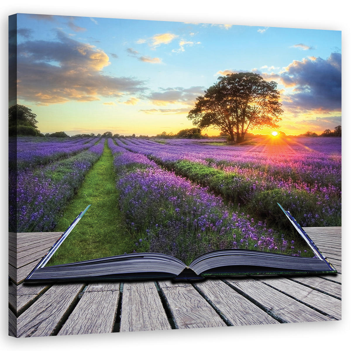 WANDBILD, Landschaften - Lila - Lila, Textil (50/50cm) - Feeby