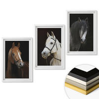 WANDBILDER 3er-Set - 40x60 cm Weißer Rahmen - Porträts von Pferden in verschiedenen Fellfarben - Weiß, Kunststoff (40/60cm) - ArtPrintCave