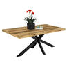 ESSTISCH Elgin 2 210x80x100 Metall+Holzwerkstoff Schwarz/Plankeneiche - Alteiche/Schwarz, Holzwerkstoff (210/100/80cm) - 58aufmkessel