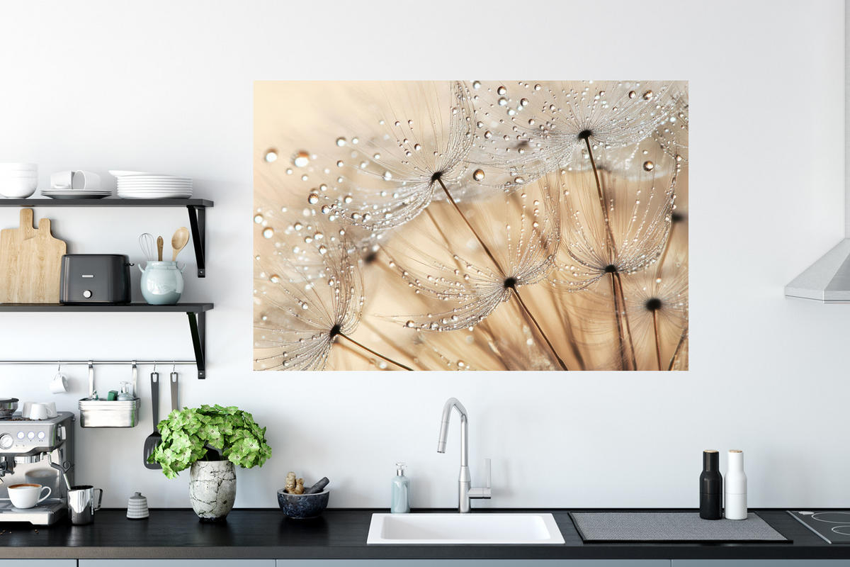 WANDTATTOO Löwenzahn - Abstrakt - Natur - Beige 120x80 cm - Braun, Kunststoff (120/80/0.1cm) - MuchoWow