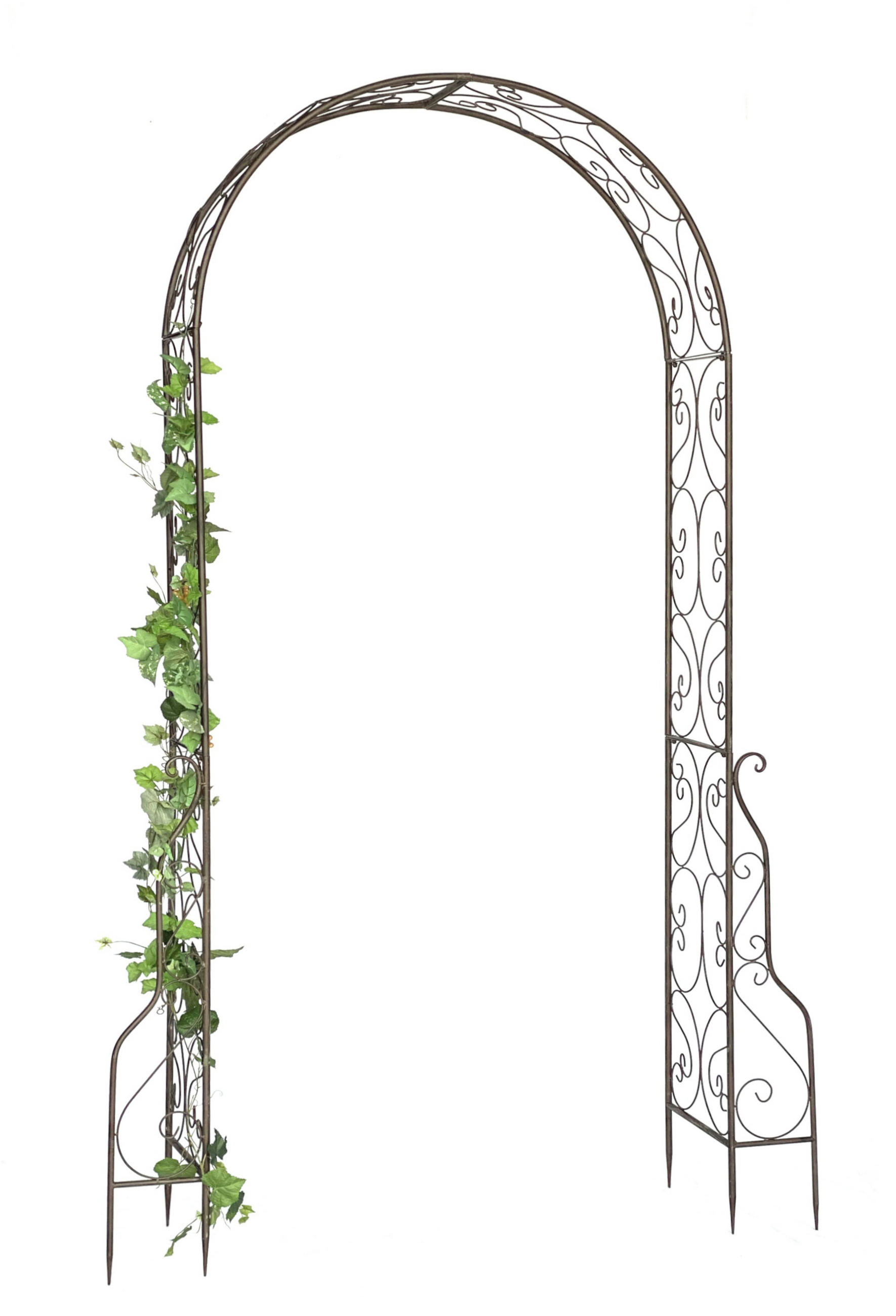 DanDiBo Rosenbogen Braun 159x254x38 cm