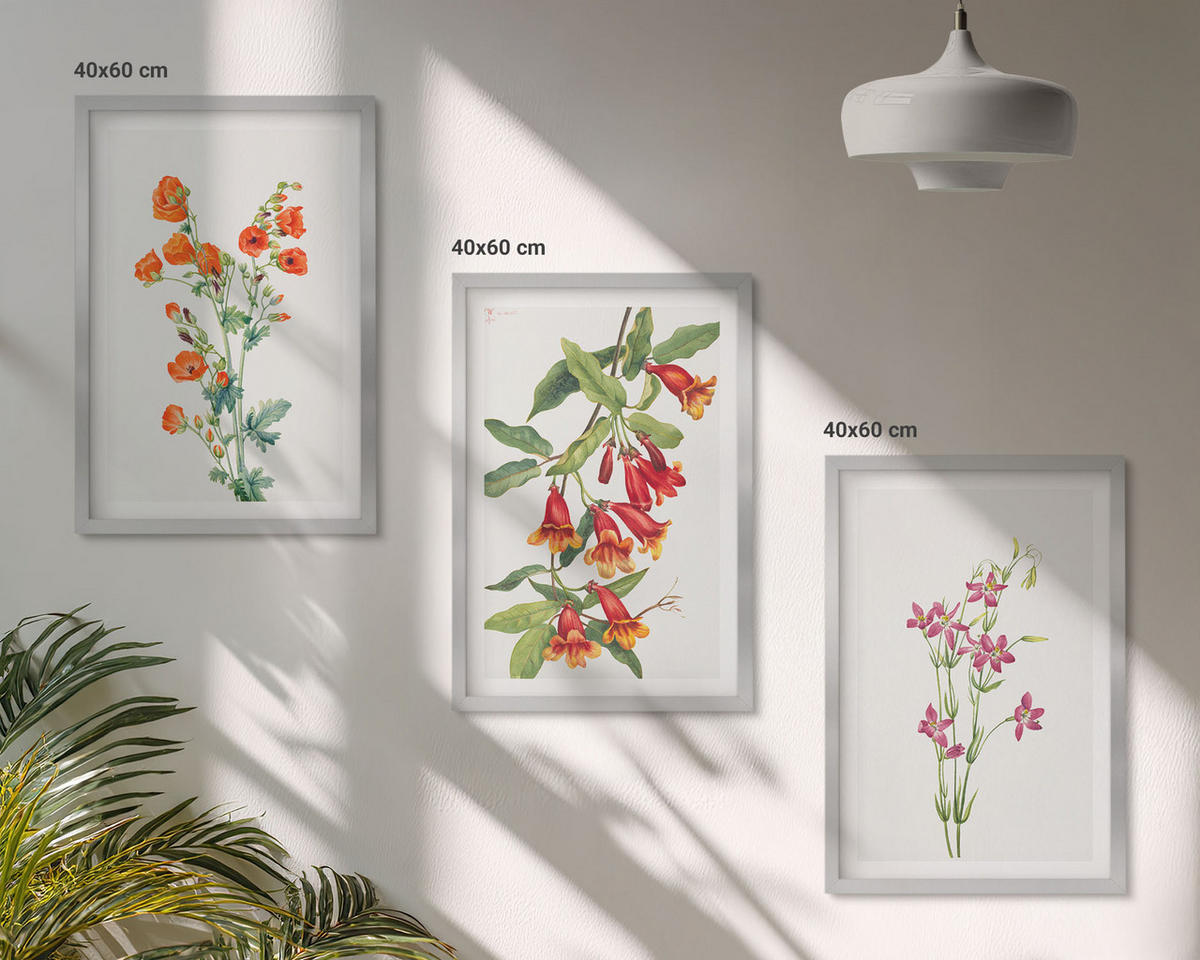 BILDER SET 3er Set - 40x60 cm Silberner Rahmen - Vintage-Retro-Blumenmalerei - Silberfarben, Kunststoff (40/60cm) - TULUP