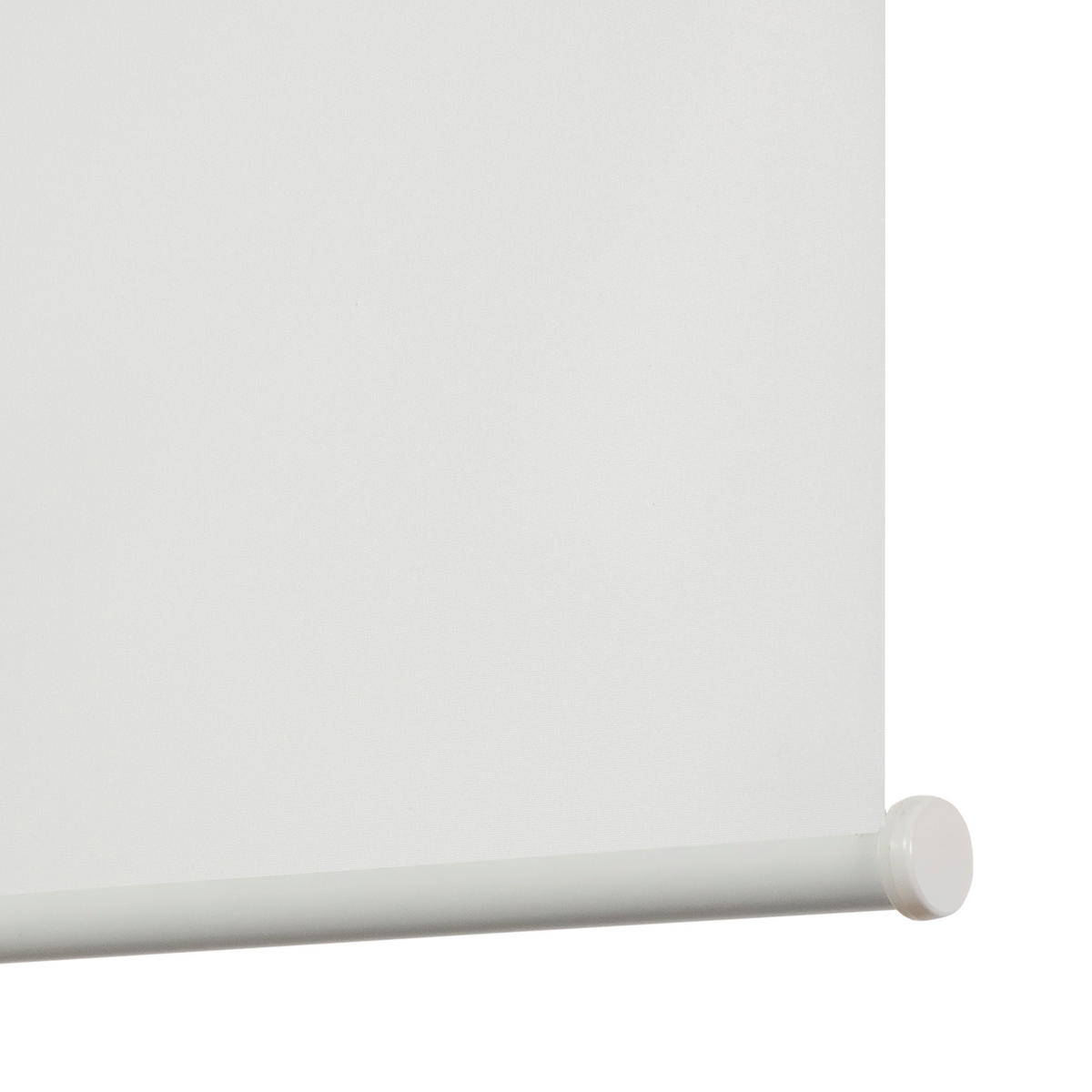 SPRINGSROLLO motorisiert mit Kassette abdunkelnd - Weiß, Textil (75/190/190cm) - VIEWTEX