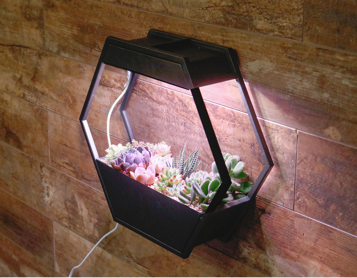 LED-PFLANZENLAMPE - Metallgestell im Industrial-Look mit Timer für Kräutergarten und Innengarten - Schwarz, Metall (37.6/32.5/10cm) - Northpoint