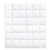 WINTERBETTDECKE MARIE Entendaunen warm - Weiß, Naturmaterialien/Textil (200/220cm) - Goldmarie 