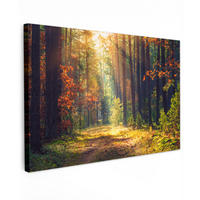 LEINWANDBILD Wald - Herbst - Bäume Wohnzimmer 120x80 cm - Dunkelgrün, Textil (120/80cm) - MuchoWow