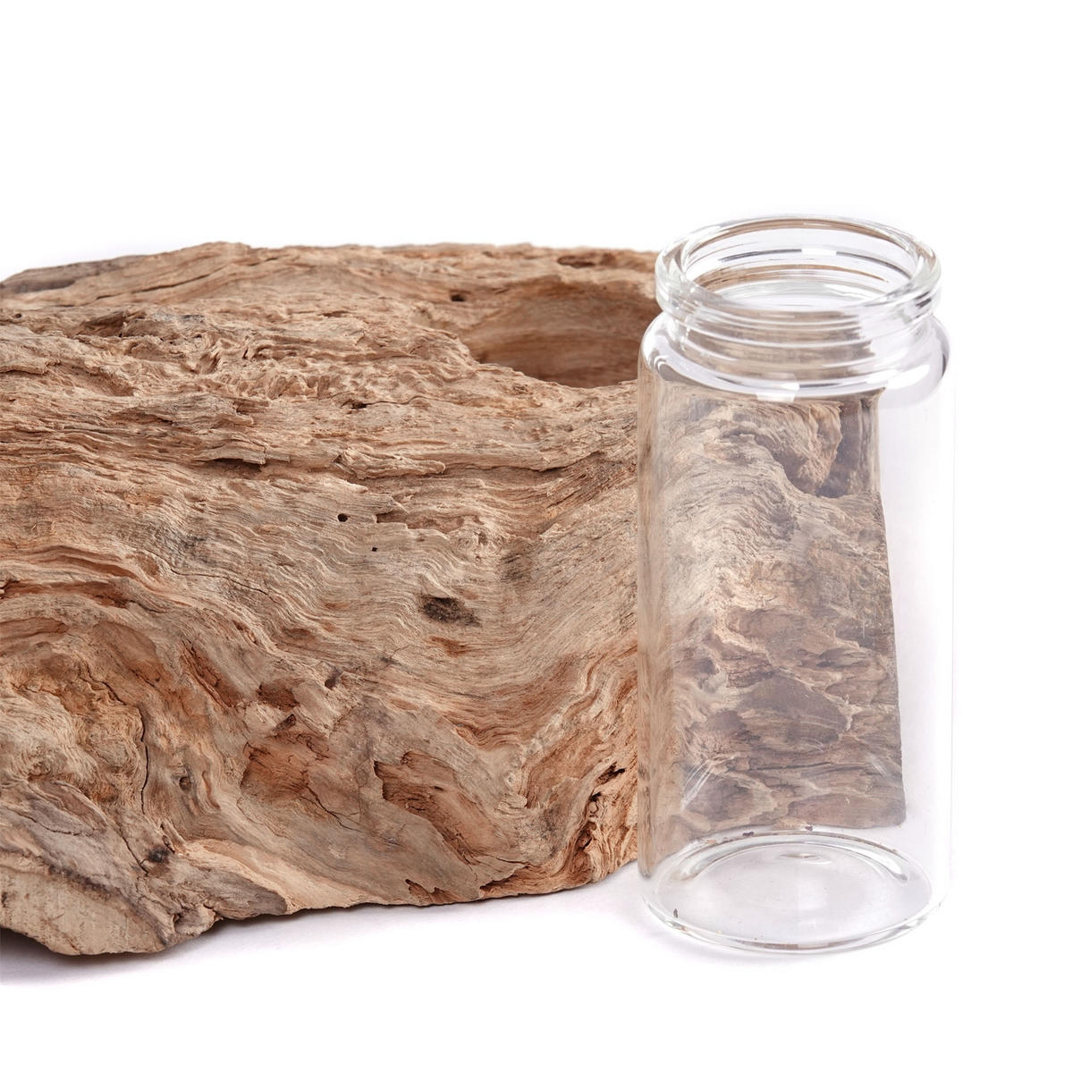 VASE Yuma II 19x12 cm, Wurzelholz, mit 2 Reagenzgläsern naturfarben - Naturfarben, Holz (10cm) - CREEDWOOD