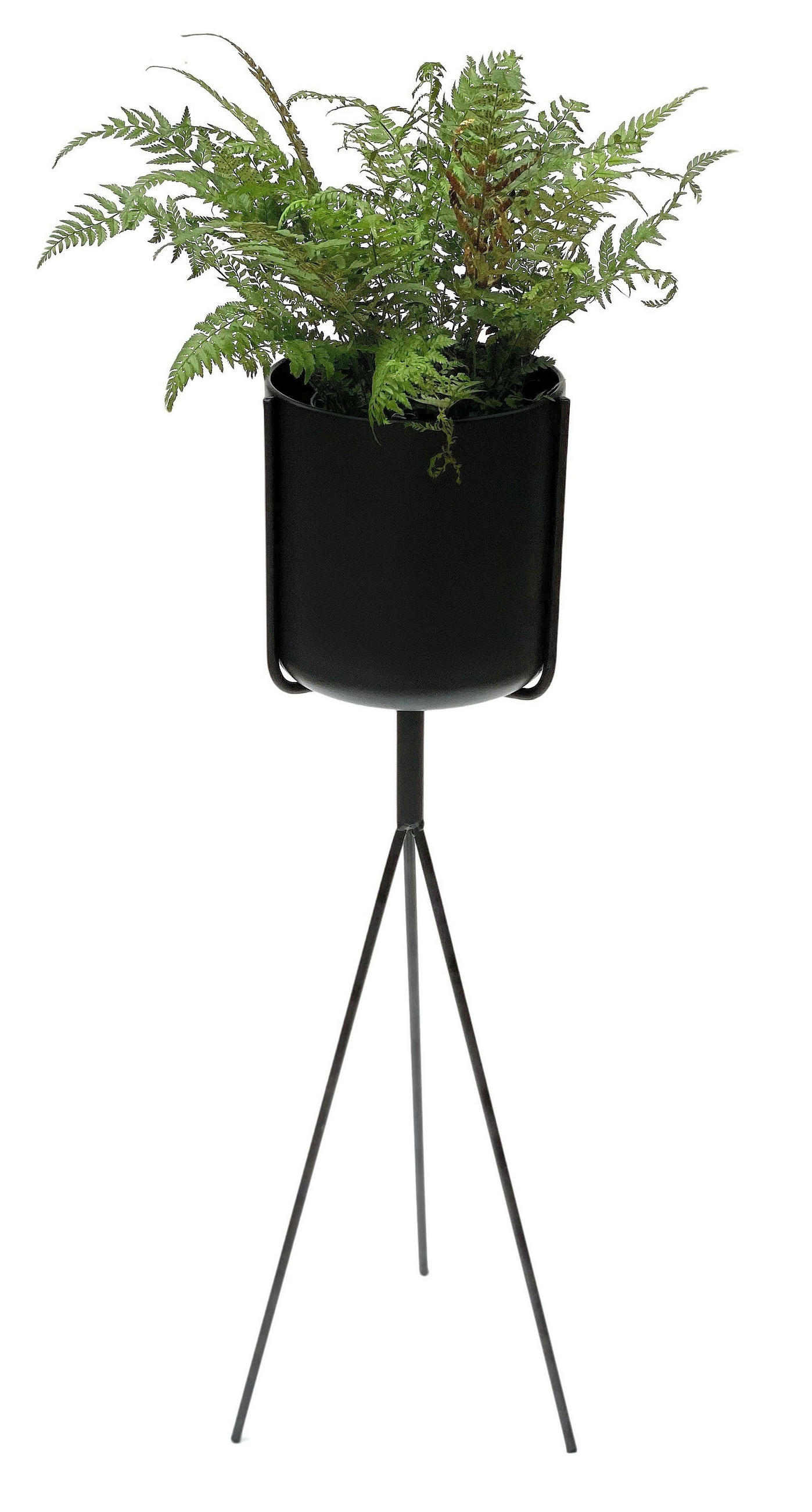 DanDiBo Blumenständer Schwarz 25x77.5x25 cm