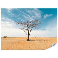 FOTOTAPETE für Wohnzimmer Trockener Baum Wüste Sand 450x315 - Beige/Orange, Papier (450/315cm) - Muralo