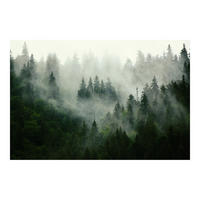 FOTOTAPETE Tiefgrüner Tannenwald im Nebel 288/190 cm - Grün, Papier (288/190cm) - Bilderwelten