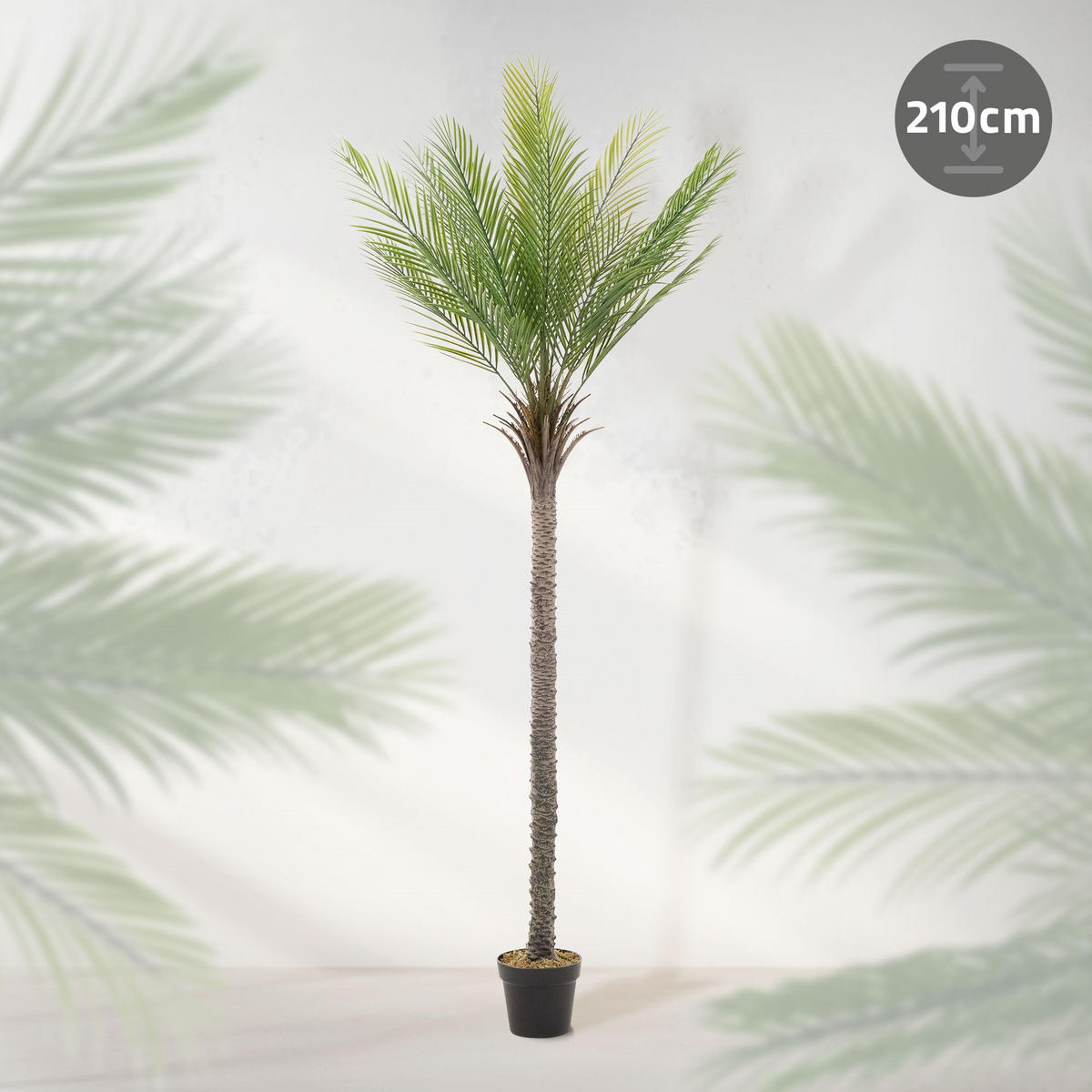 KUNSTPFLANZE Palme - Anthrazit/Grün, Holz/Kunststoff (210cm) - ML-DESIGN
