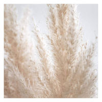 FOTOTAPETE Zartes Pampasgras Close Up 288/288 cm - Eichefarben, Papier (288/288cm) - Bilderwelten