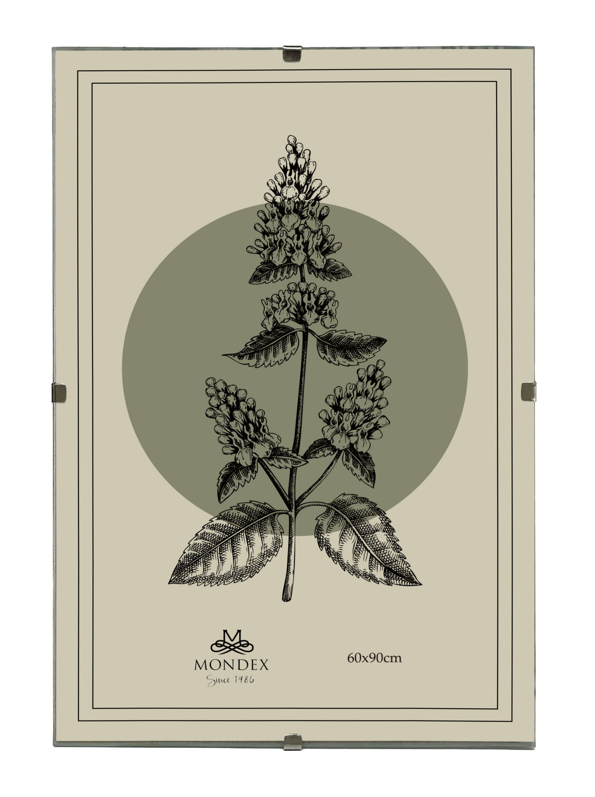 BILDERRAHMEN Adi Transparent 60x90x0.3 cm Kunststoff - Transparent, Kunststoff (0.3/90/60cm) - Mondex