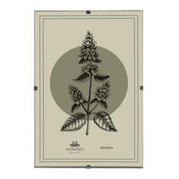 BILDERRAHMEN Adi Transparent 60x90x0.3 cm Kunststoff - Transparent, Kunststoff (0.3/90/60cm) - Mondex