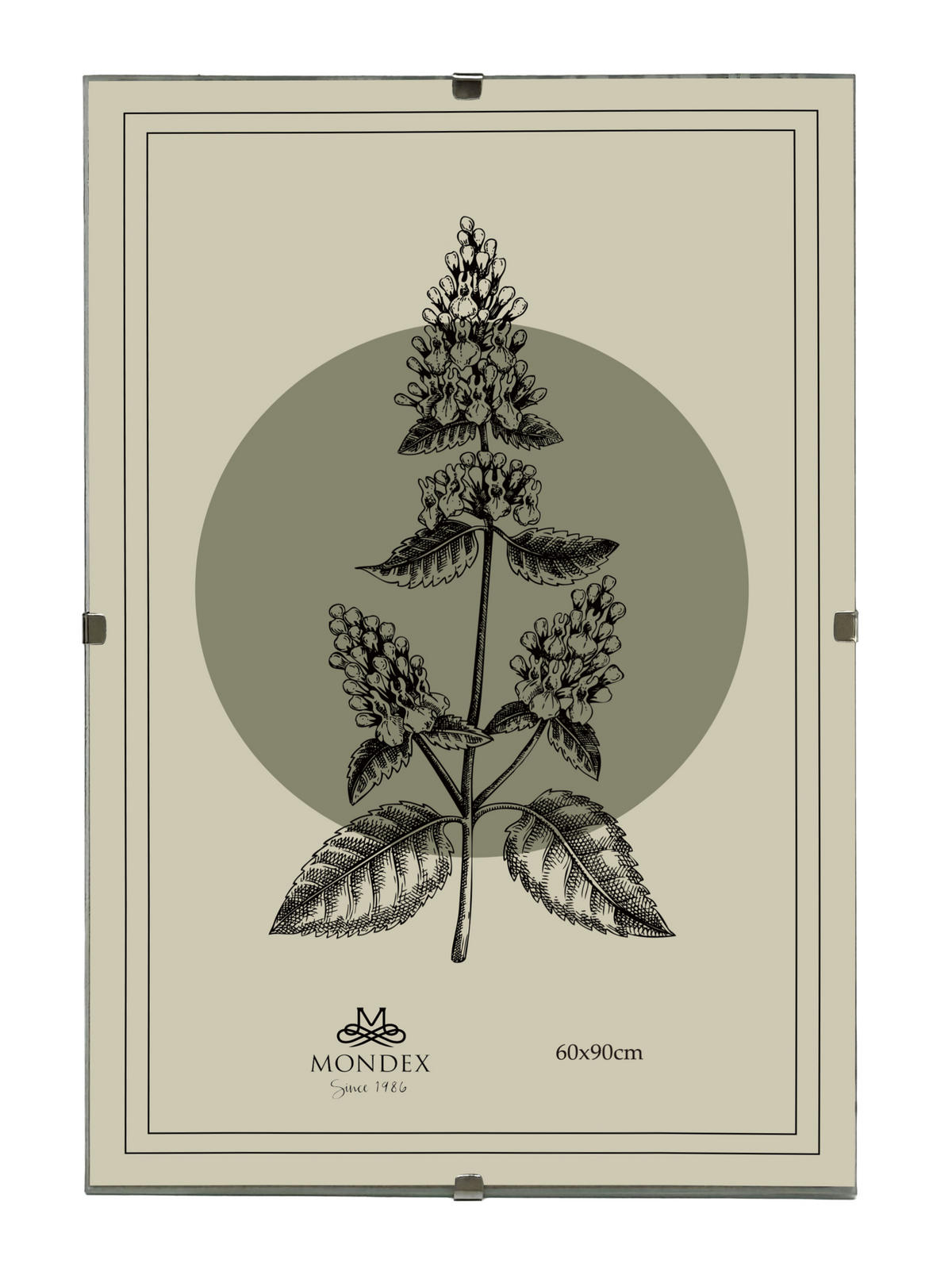 BILDERRAHMEN Adi Transparent 60x90x0.3 cm Kunststoff - Transparent, Kunststoff (0.3/90/60cm) - Mondex