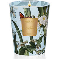 DUFTKERZE Jasmin 400 g Sojawachskerze 75 Std. Brenndauer - Multicolor, Paraffin (12.7cm)