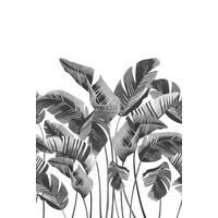 FOTOTAPETE große Bananenblätter 200 x 279 cm - Schwarz, Papier (200/279cm) - ESTAhome
