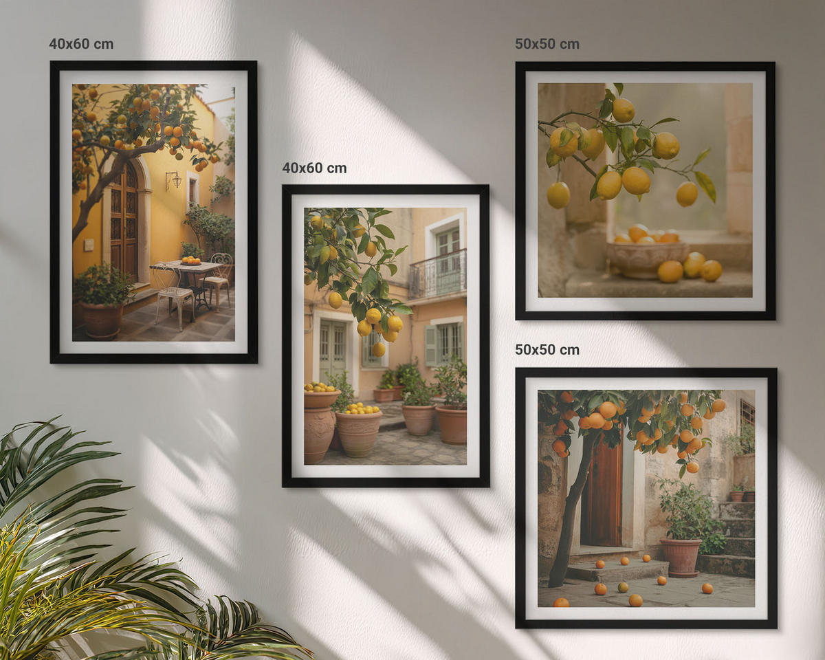 BILDER SET 4er Set - 50x50 cm & 40x60 cm Schwarzer Rahmen - Zitrusgarten in der Sonne - Schwarz, Kunststoff (50/50cm) - TULUP