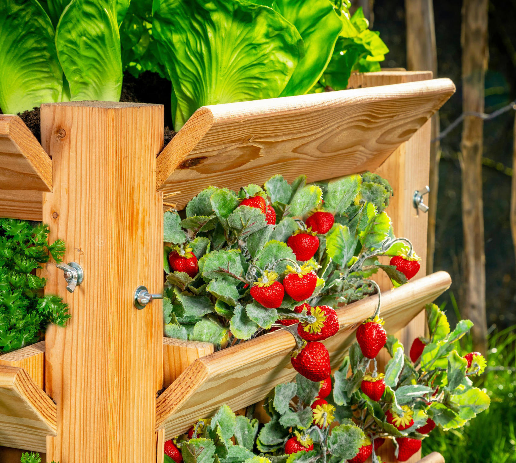 Vertikální záhon - Jahody