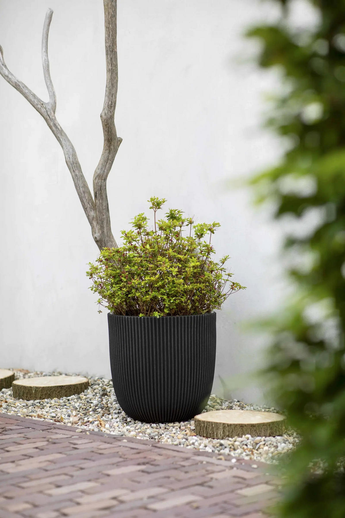 BLUMENTOPF Kugel Groove schwarz 35x34 cm - Schwarz, Kunststoff (1/34/1cm) - aplanta