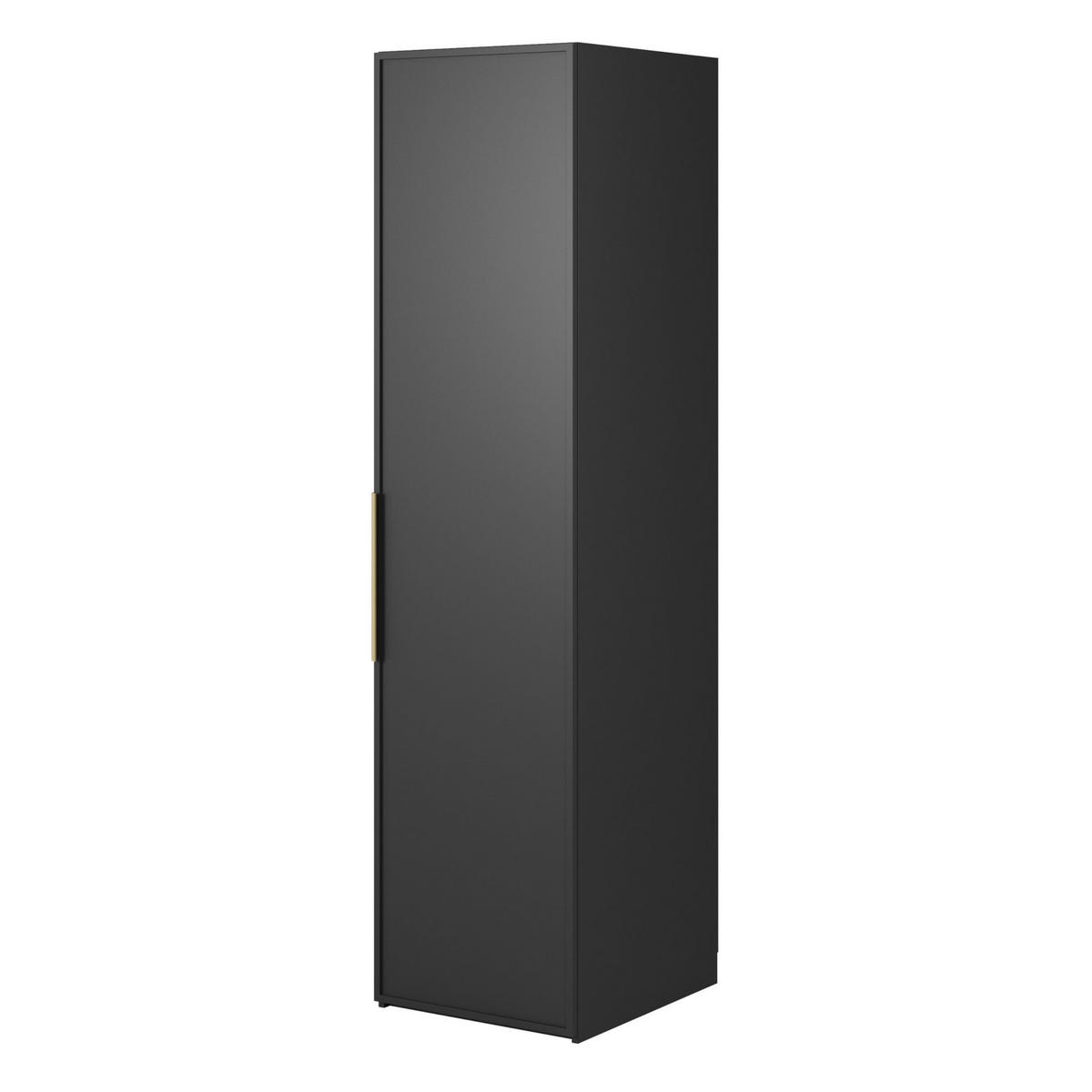 KLEIDERSCHRANK Frame Schwarz 50 cm - Goldfarben/Schwarz, Holzwerkstoff/Metall (50/200.5/57cm) - Selsey