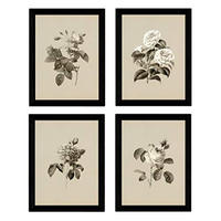 POSTER Set mit 4 Botanische Jahrgang Hintergrund Rosa Blumen A3 Rahmenlos - Klar, Papier (29.7/3cm) - Nacnic