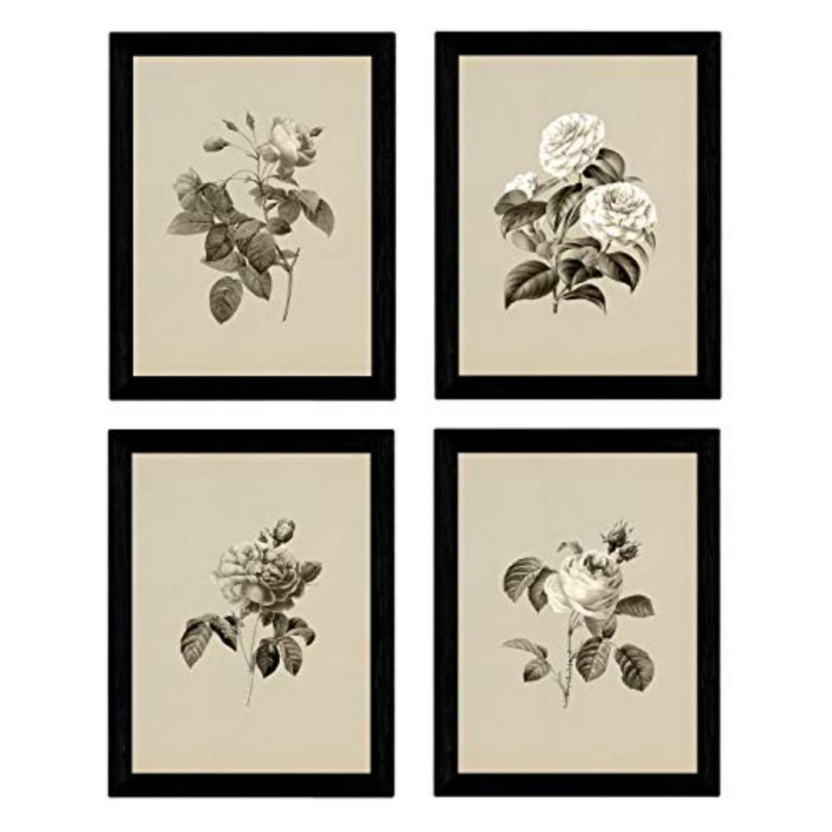 POSTER Set mit 4 Botanische Jahrgang Hintergrund Rosa Blumen A3 Rahmenlos - Klar, Papier (29.7/3cm) - Nacnic