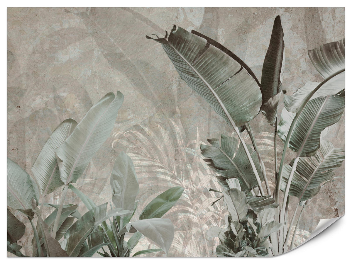 FOTOTAPETE für Büro Beton Bananenblätter Abstrakt Pflanzen Vintage 350x256 - Beige/Braun, Papier (350/256cm) - Muralo