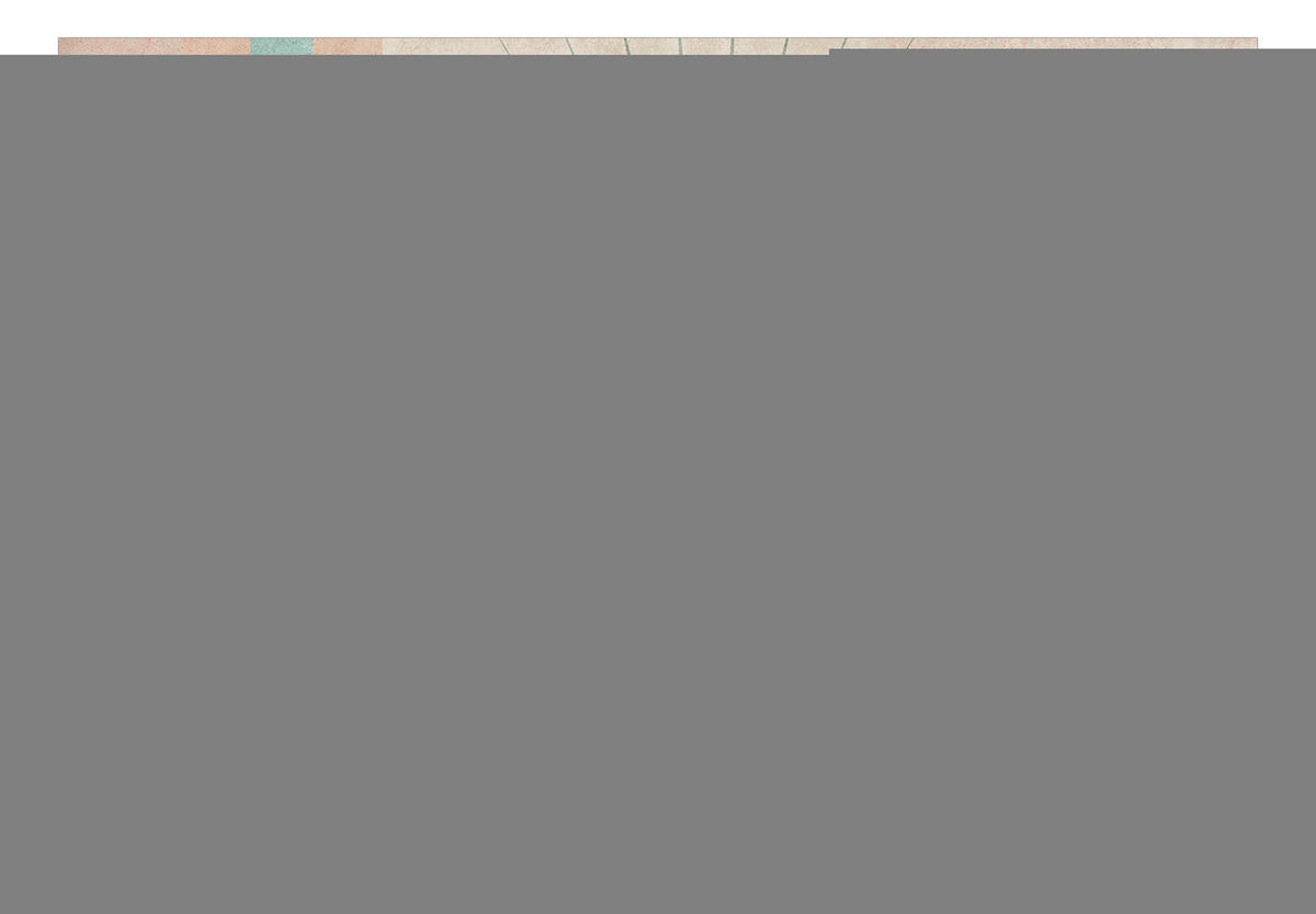 VLIESTAPETE Braun 100/70 cm - Braun/Grau, Textil (100/1cm) - KUNSTLOFT