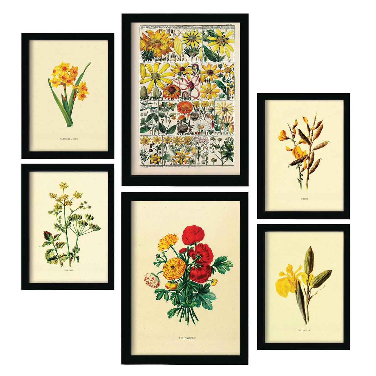 POSTER Set Mit 6 Gelbe Blumen In Vintage A3 & A4 Rahmenlos - Klar, Papier (29/3cm) - Nacnic