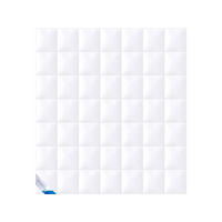 WINTERBETTDECKE EXQUISIT - 100% GÄNSEDAUNEN - Weiß, Naturmaterialien/Textil (200/200cm) - Böhmerwald