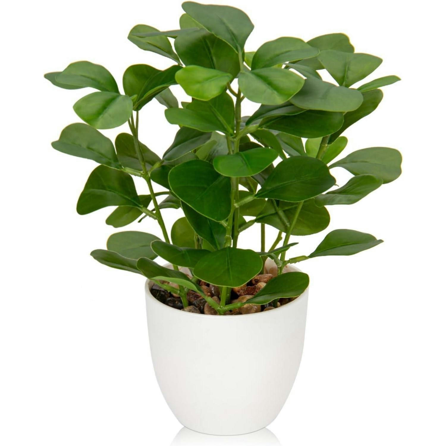 KUNSTPFLANZE Ficus 25 cm weiß - Grün, Kunststoff (25cm)