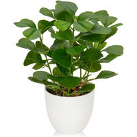 KUNSTPFLANZE Ficus 25 cm weiß - Grün, Kunststoff (25cm)