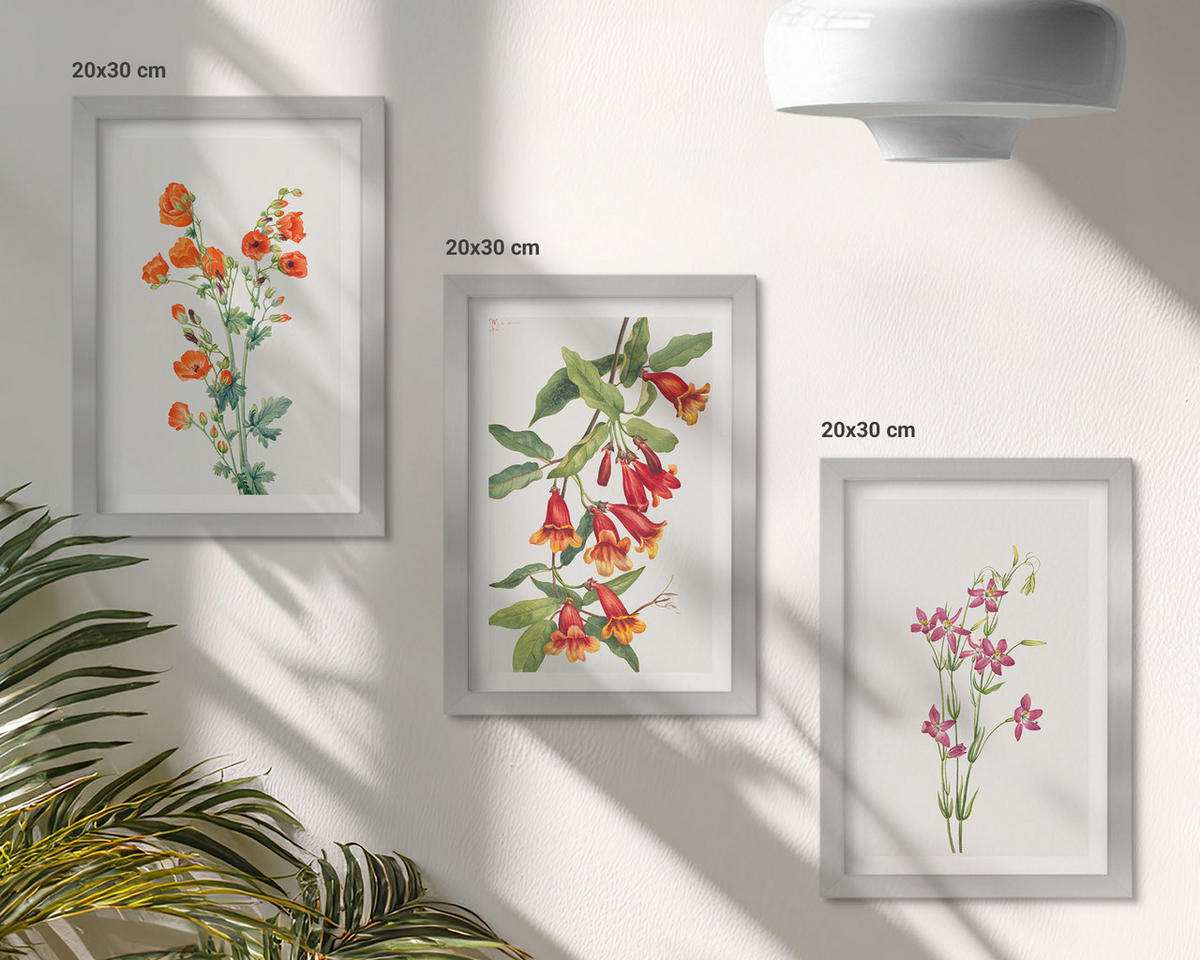 WANDBILDER 3er Set - 20x30 cm Silberner Rahmen - Vintage-Retro-Blumenmalerei - Silberfarben, Kunststoff (20/30cm) - ArtPrintCave