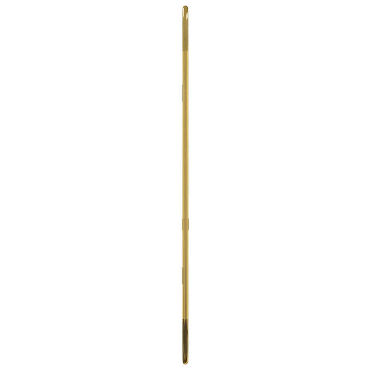WANDSPIEGEL Golden 60x25 cm Oval - Goldfarben, Glas (25/60/1cm) - furnicato