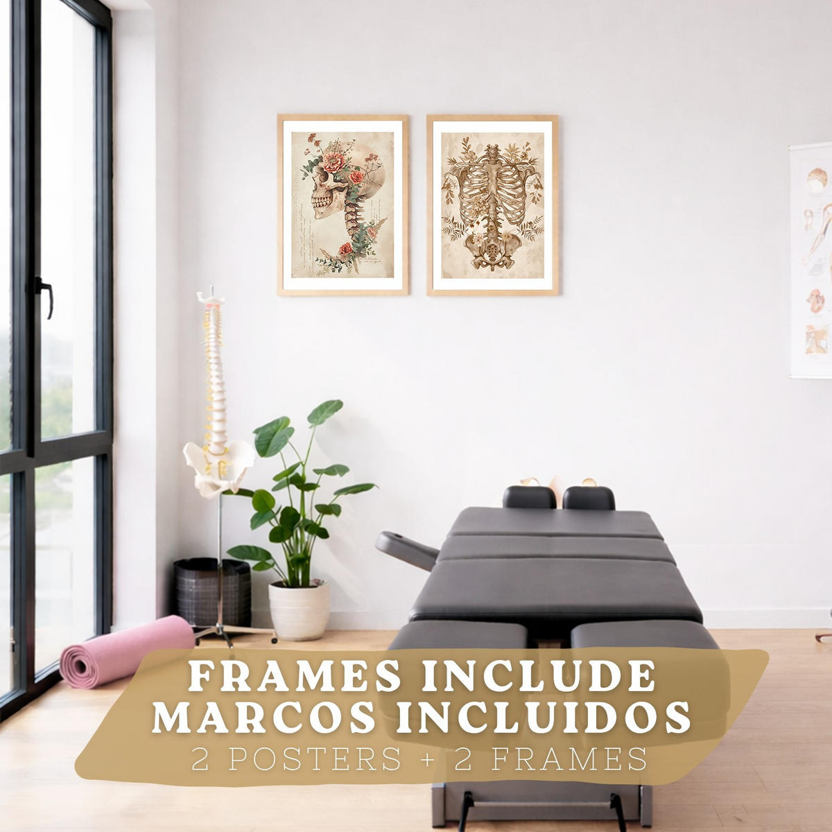 POSTER Set aus 2 Anatomie Mensch Drucke und Wandbilder mit Skelett Schädel Wirbelsäule Rippen Becken Klassischer Stil Größe Leichter Holzrahmen A4 - Beige, Papier (21/29.7/3cm) - Nacnic