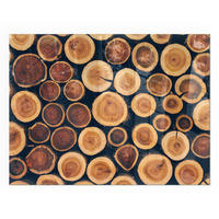 GLASPLATTE für Kamin 80x60 cm - Braun, Glas (80/60/0.4cm) - TULUP