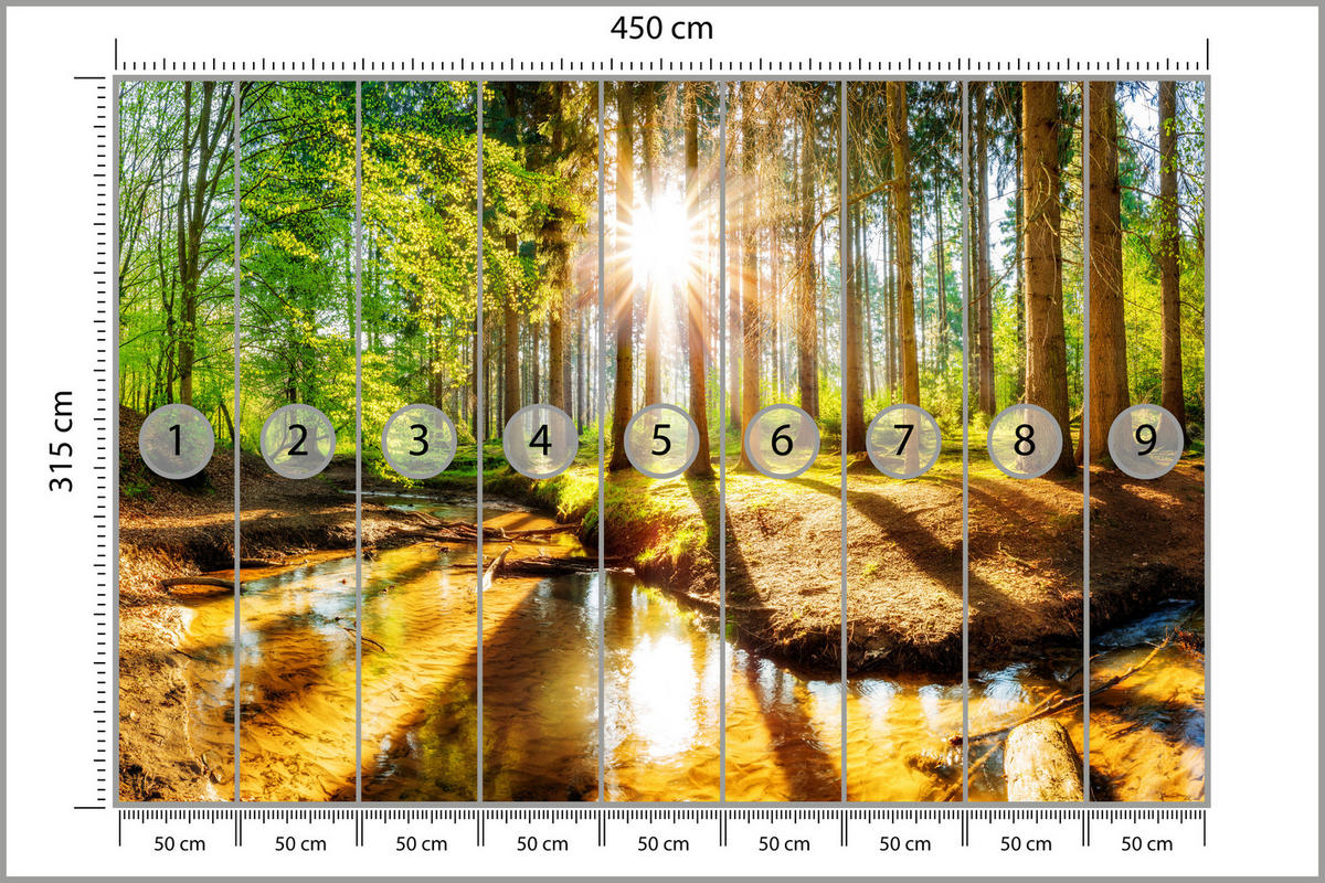 FOTOTAPETE für Wohnzimmer Pflanzen Natur Gras Sonniger Wald Bäume 450x315 - Multicolor, Papier (450/315cm) - Muralo