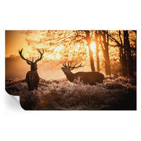 FOTOTAPETE 416x254 cm - Rehe am Morgen - Schwarz, Textil (416/254cm) - Wallfluent