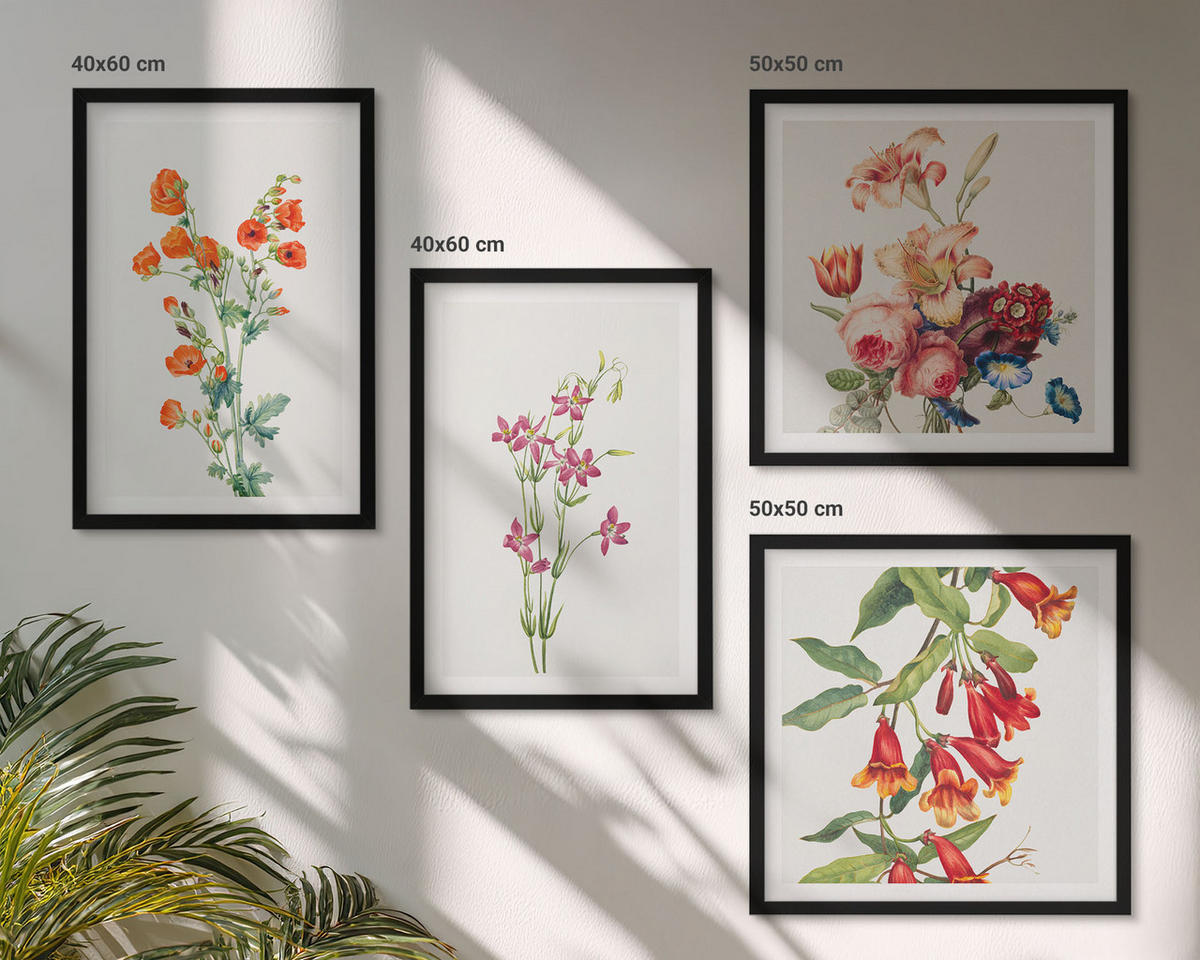BILDER SET 4er Set - 50x50 cm & 40x60 cm Schwarzer Rahmen - Blumenmalerei im Retro-Stil - Schwarz, Kunststoff (50/50cm) - TULUP
