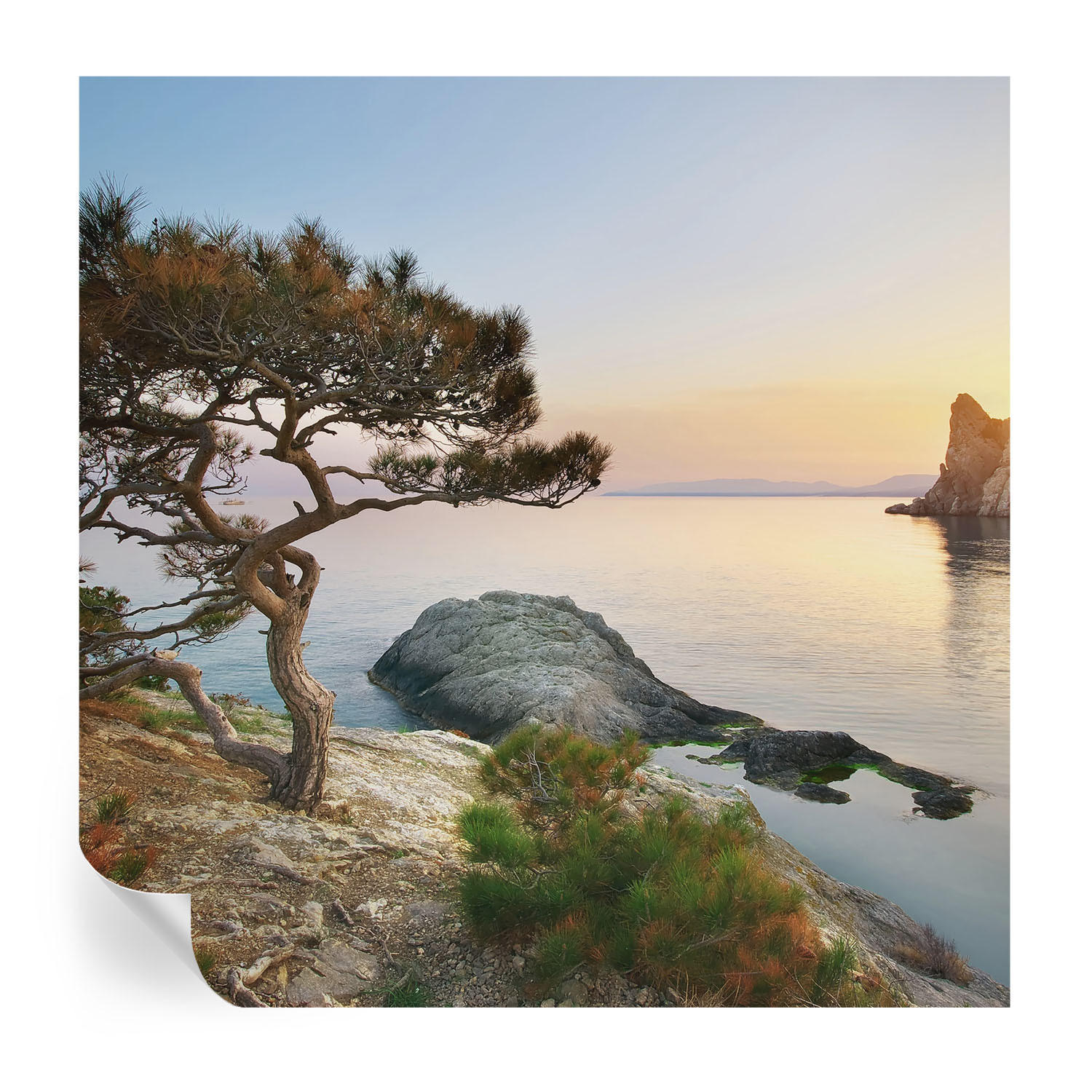 FOTOTAPETE 250x250 cm - Friedliche Natur - Blau, Textil (250/250cm) - Wallfluent