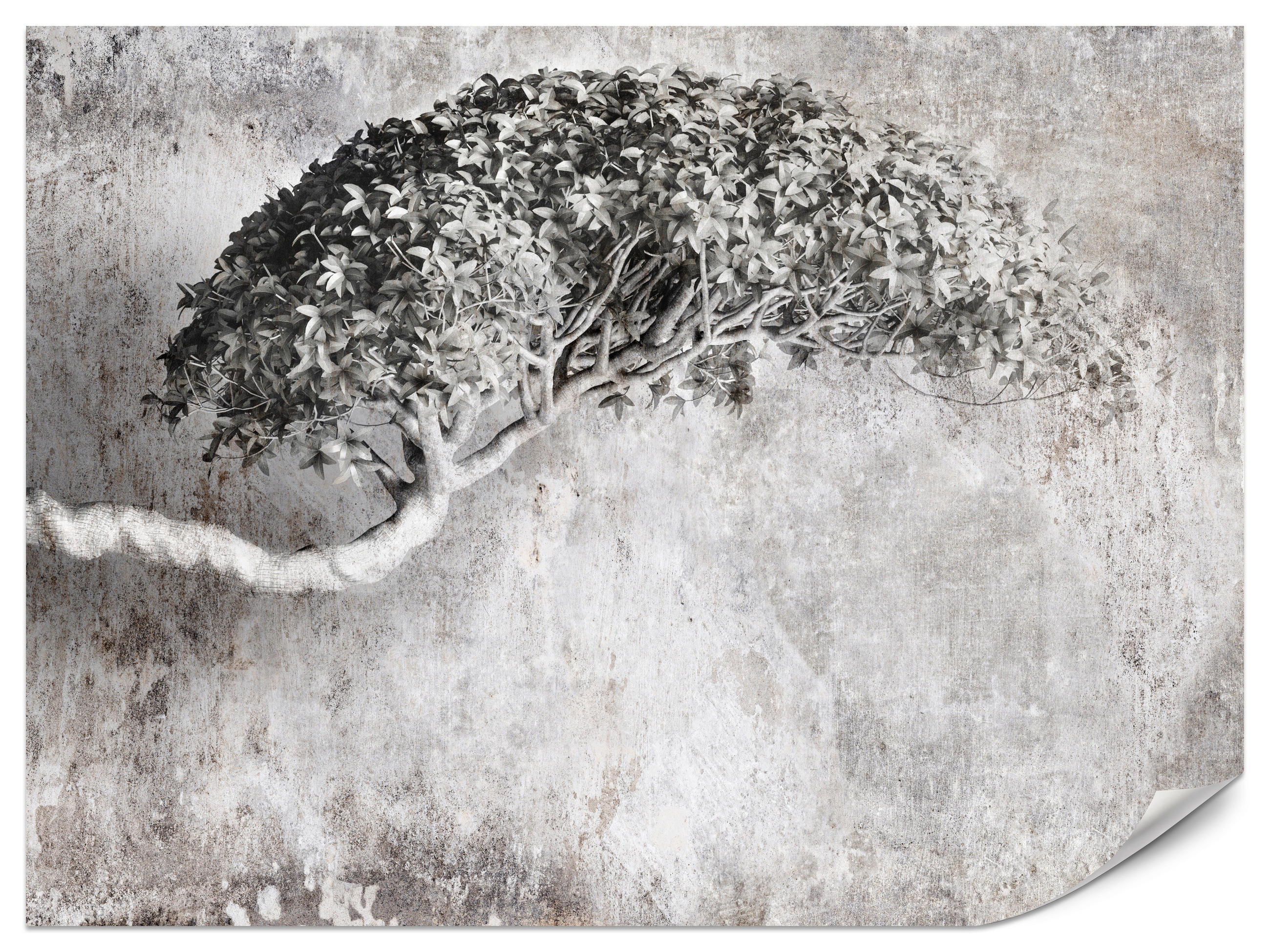 FOTOTAPETE Abstrakter Baum Beton Vintage Grau Blätter Natur 500x350 - Schwarz/Grau, Papier (500/350cm) - Muralo
