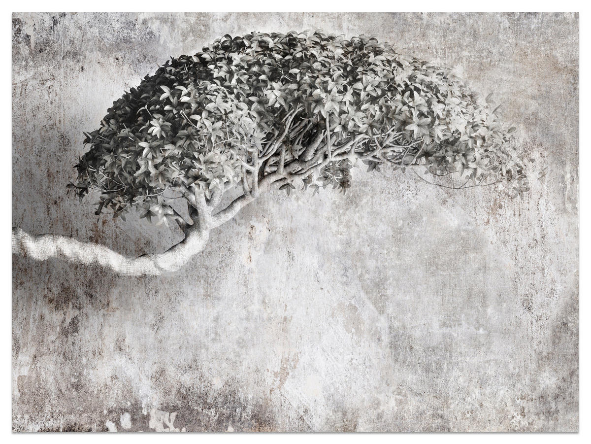 FOTOTAPETE Abstrakter Baum Beton 3D Effekt 300x210 - Beige/Schwarz, Papier (300/210cm) - Muralo