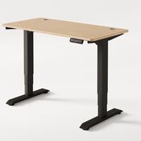 SCHREIBTISCH Elektrisch Höhenverstellbarer HomePro 120x60cm Schwarz/Bambus mit Memory-Funktion, Anti-Kollisions Technologie - Hellgelb/Schwarz, Holz (60/120/63.5cm) - Desktronic