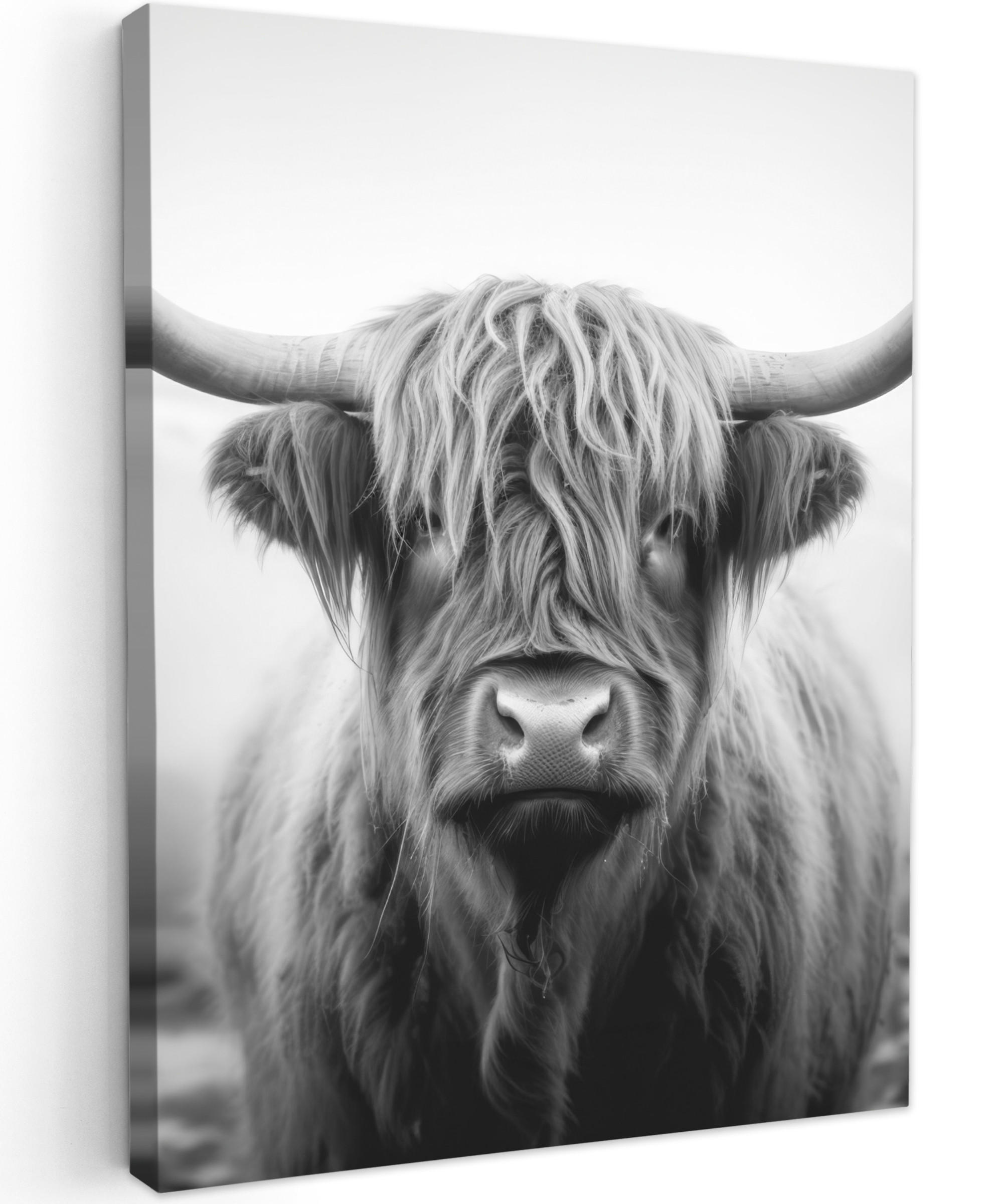 MuchoWow OBRAZ NA PLÁTNĚ Skotský horal - Mlha - Černá - Bílá 60x80 cm